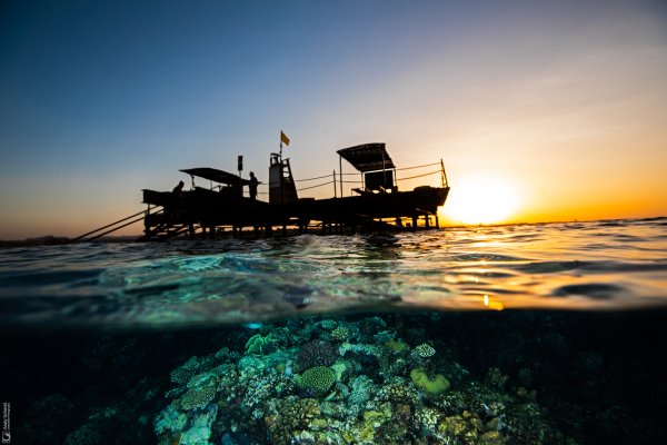 Reef Scene and Jetty at sunset